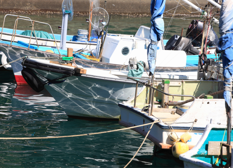 Circuit Au Coeur du Japon, Authentique et Insolite - 7