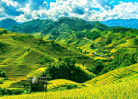 Circuit Good Morning Vietnam - 14