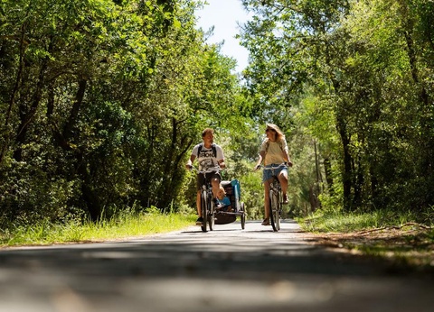 Camping La Pointe du Médoc, 4* - 14