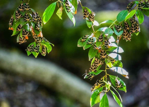 Circuit en Etoile depuis l'hôtel Virginia 4* - 5