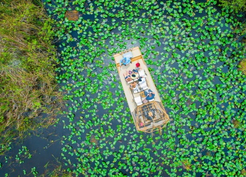 Circuit Panorama des Etats du Sud-Est Américain & extension Miami - 12