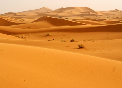 Circuit L'appel du désert : expédition en 4x4 d'Erg Chegaga à Ouarzazate - 8