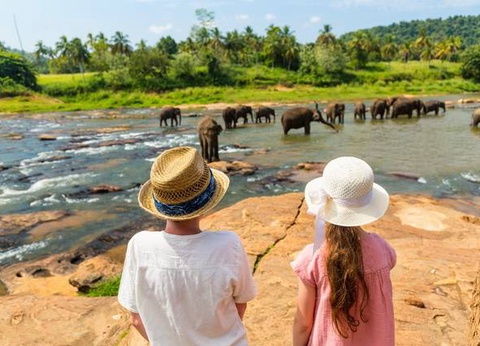 Carpe Diem au Sri Lanka - 22