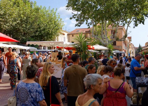 Camping l'Etoile d'Or 4* - 55