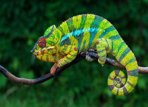 Circuit Couleurs du Nord Madagascar - 3