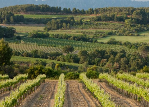 Escapade romantique : dîner aux chandelles, accès au spa et cava à Barcelone - 4* - 25