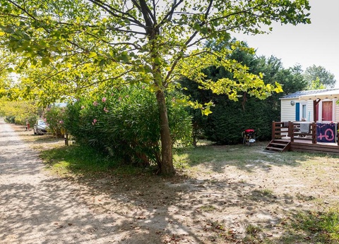 Camping Les Rives du Luberon, 4* - 32