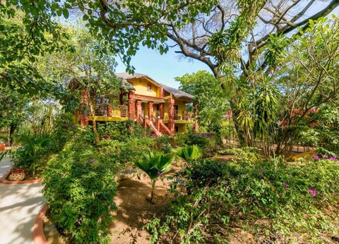 Hôtel Les Bougainvillées 3* - 11