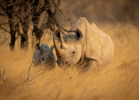 Aventure en Namibie et extension Fish River Canyon - 8