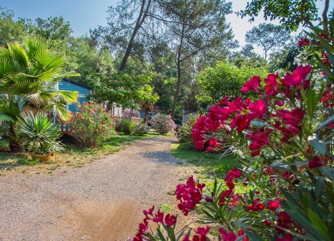 Camping Sites et Paysages - Les Pinèdes, 4* - 29