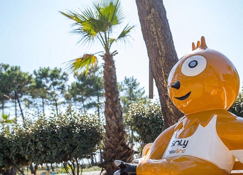 Camping Le Vieux Port, 5* - 108