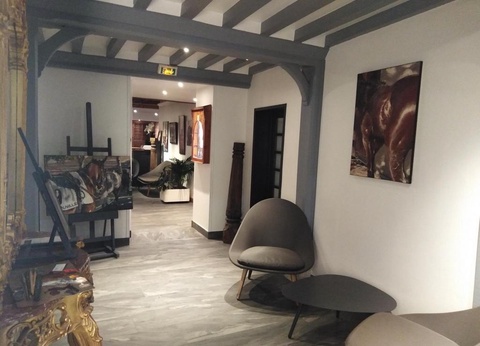 Hôtel & Spa Le Lion d'Or 3* - 3