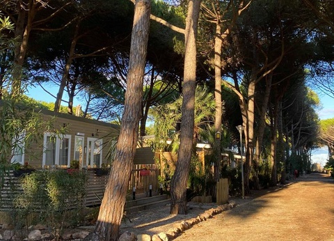Camping Le Castellas, 4* - 36