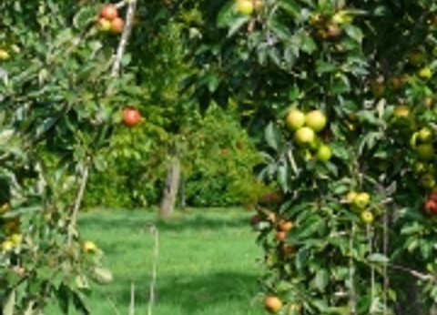 Camping Les Peupliers, 4* - 48