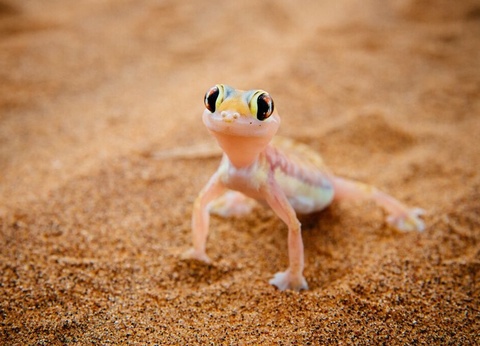 Circuit Couleurs de Namibie - 2