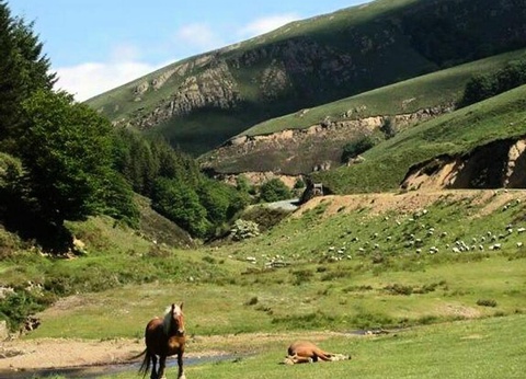 Camping Europ Camping, 4* - 32