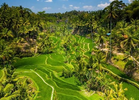 Carpe Diem à Bali Lombok - 7