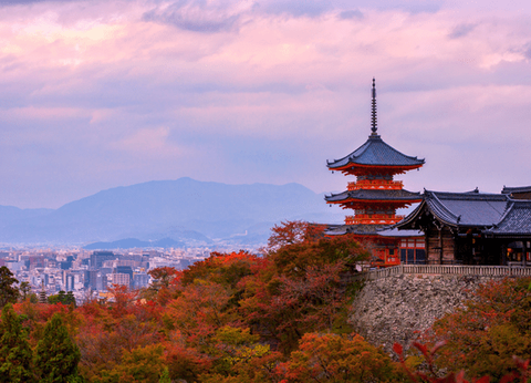 Circuit Capitales Nippones en Liberté, de Kyoto à Tokyo 3* et Ryokan - 13