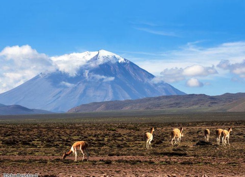 2026 - Circuit Pérou, Essentiel du Pérou extension Amazonie - 20 personnes maximum - 5