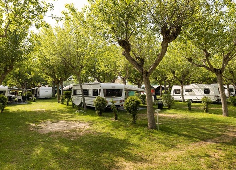 Camping Classe 3* - 67