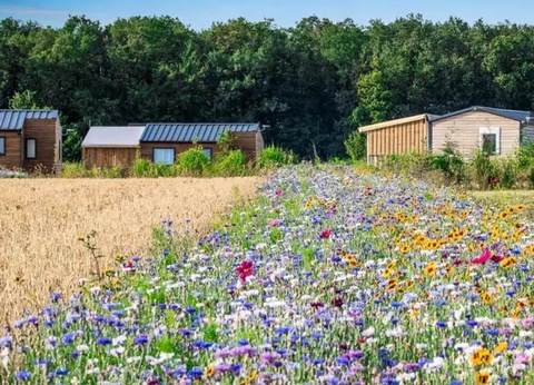 Camping Ferme Pédagogique de Prunay, 4* - 9