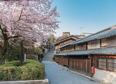 Circuit Capitales Nippones en Liberté, de Kyoto à Tokyo 3* et Ryokan - 16