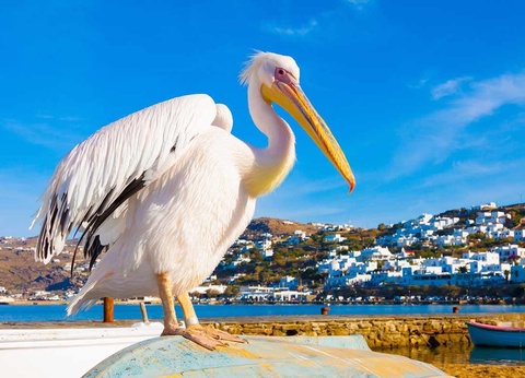 Hôtel Despotiko 4* - 7