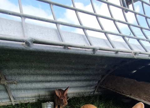 Camping La Ferme du Bord de Mer - 12