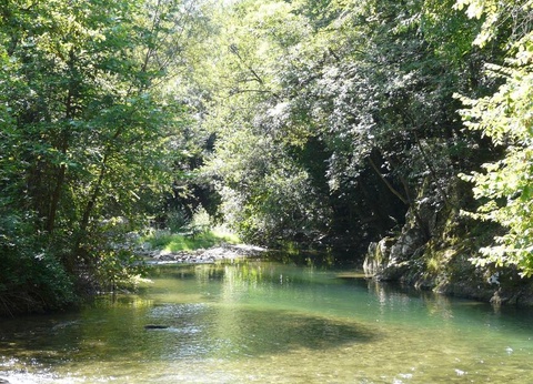 Camping Au Vallon Rouge 3* - 32