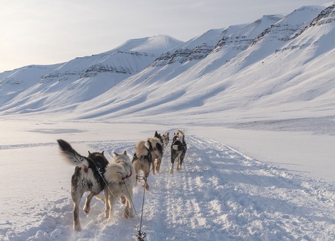 Circuit Spitzberg, voyage au-delà du cercle polaire - 2