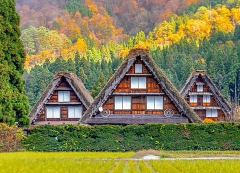 Circuit Traditions et culture du Japon 3* - 10