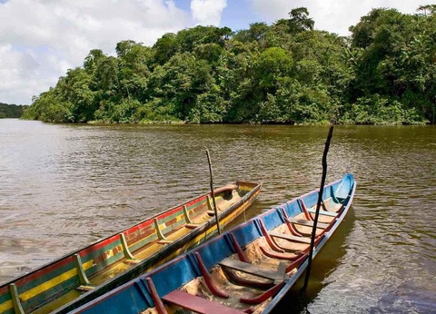 Hotel Mercure Kourou Ariatel - 37