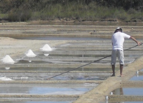 Camping Au Pigeonnier, 4* - 61