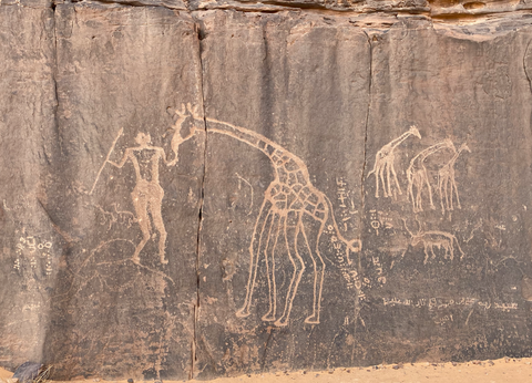 Circuit Le Tassii N'Ajjer et l'infinie beauté du Sahara - 12