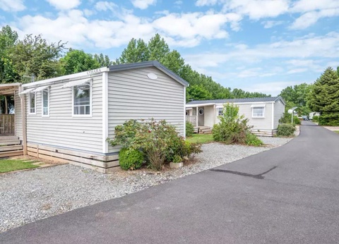 Flower Camping Vitamin, 4* - 23