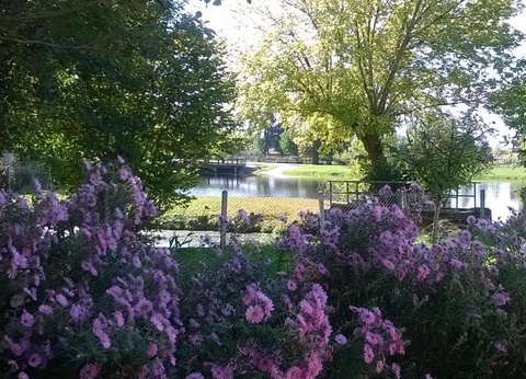 Camping Plein Air Neuvicois, 3* - 16