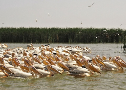Circuit Au rythme pastoral de Guélack - 3