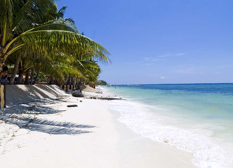 Circuit Nord Luzon, volcans et rizières des Philippines + Extension Bohol-Cebu - 18