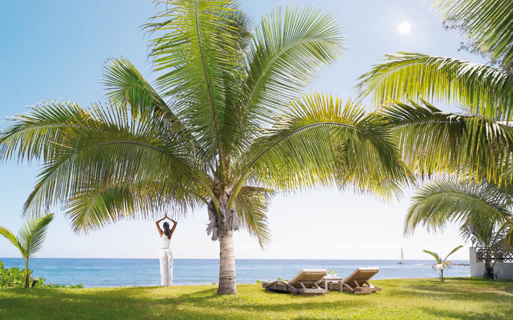 Hôtel Le Saint Alexis Hôtel & Spa 4* - 4