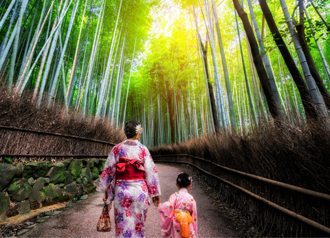 Circuit Mangas et Capitales, le Japon en Famille et en Liberté - 30