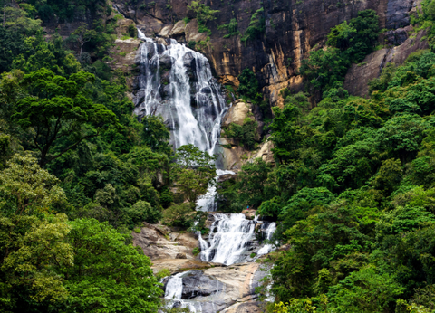 Circuit Sri Lanka Signature : Nature, Culture et Luxe - 9