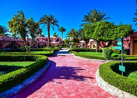 Combiné Croisière Ô Soleil 5* avec 10 visites et Paradise Abu Soma 4* - 13