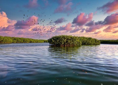 Circuit Les Oasis du Sénégal + extension 2N Framissima Palm Beach **** - 17