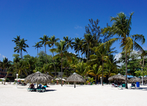 Circuit Panama, Couleur Café - 31