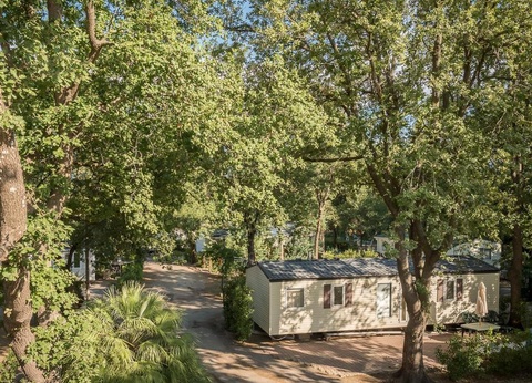 Camping l'Etoile d'Or 4* - 20