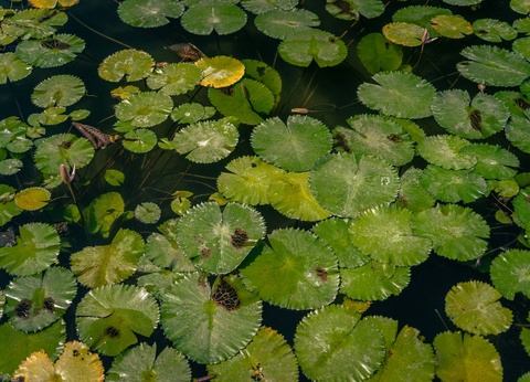 Circuit Sur la route des îles : Ubud, Candidasa et Lombok - 10