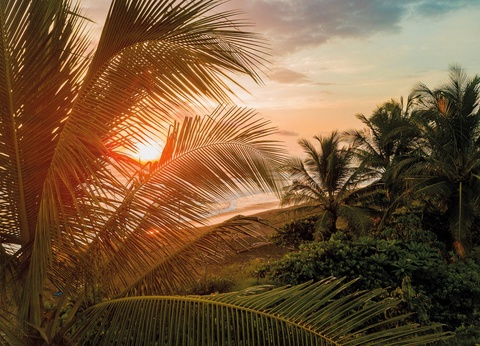 Combiné hôtels Loin du monde : séjour secret sur les rivages costaricains - 10