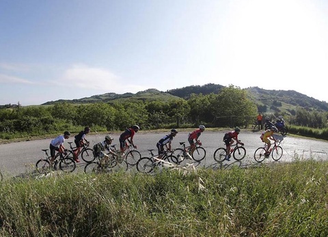 Camping Pineta sul Mare, 3* - 81