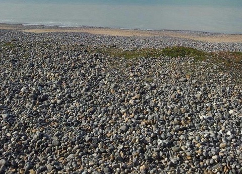 Camping Le Mont Joli Bois, 3* - 29