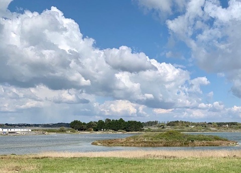 Camping Le Bois d'Amour - 21